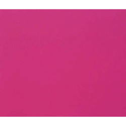 3329689601757 - 1F PAPIER DESSIN ROUGE VIF 50X65CM 160G