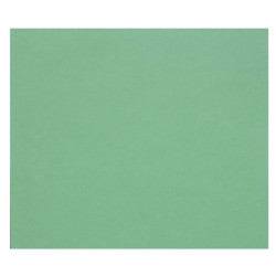 3329689601788 - 1F PAPIER DESSIN VERT FONCÉ 50X65CM 160G