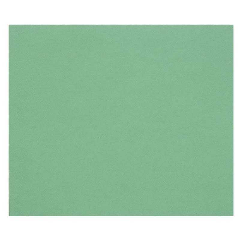 3329689601788 - 1F PAPIER DESSIN VERT FONCÉ 50X65CM 160G