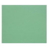 3329689601788 - 1F PAPIER DESSIN VERT FONCÉ 50X65CM 160G