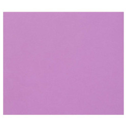 3329689601764 - 1F PAPIER DESSIN VIOLET 50X65CM 160G
