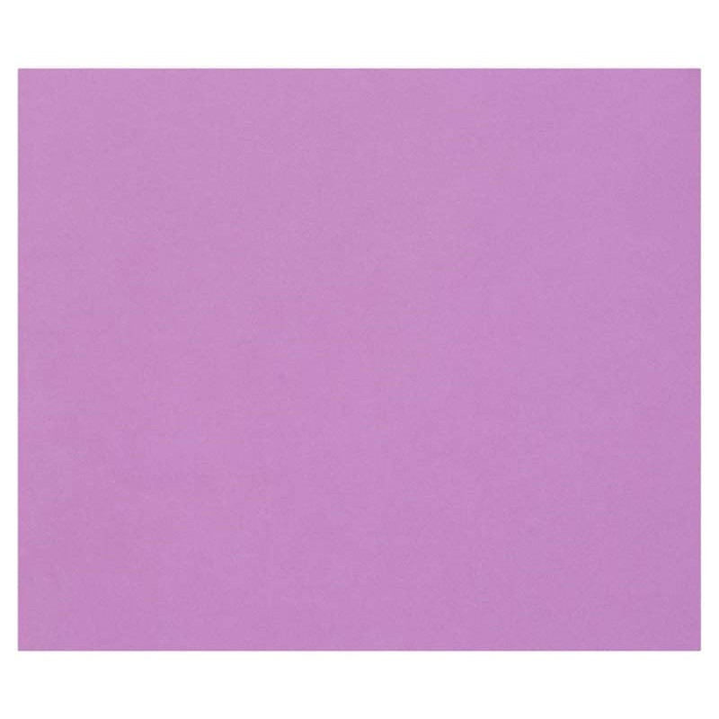 3329689601764 - 1F PAPIER DESSIN VIOLET 50X65CM 160G