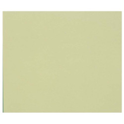 3329689601849 - 1F PAPIER DESSIN VERT CLAIR 50X65CM 160G