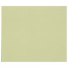 3329689601849 - 1F PAPIER DESSIN VERT CLAIR 50X65CM 160G