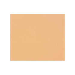 3329689601870 - 1F PAPIER DESSIN SAUMON 50X65CM 160G