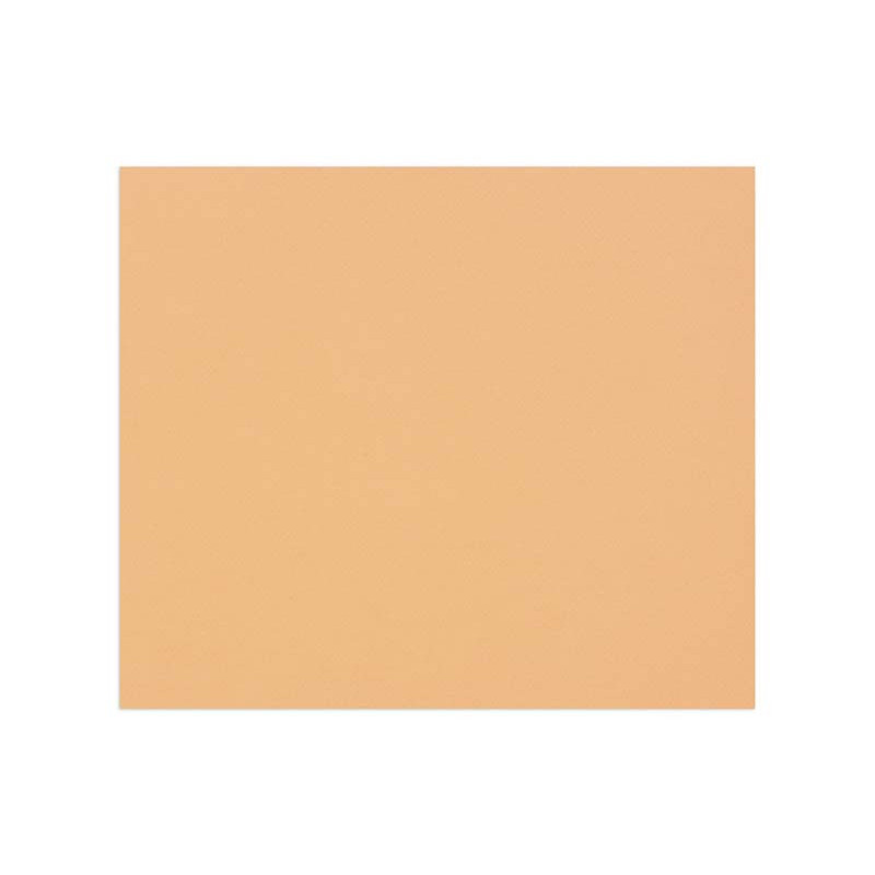 3329689601870 - 1F PAPIER DESSIN SAUMON 50X65CM 160G