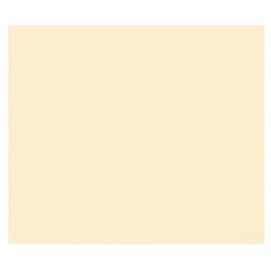 3329689601825 - 1F PAPIER DESSIN IVOIRE 50X65CM 160G