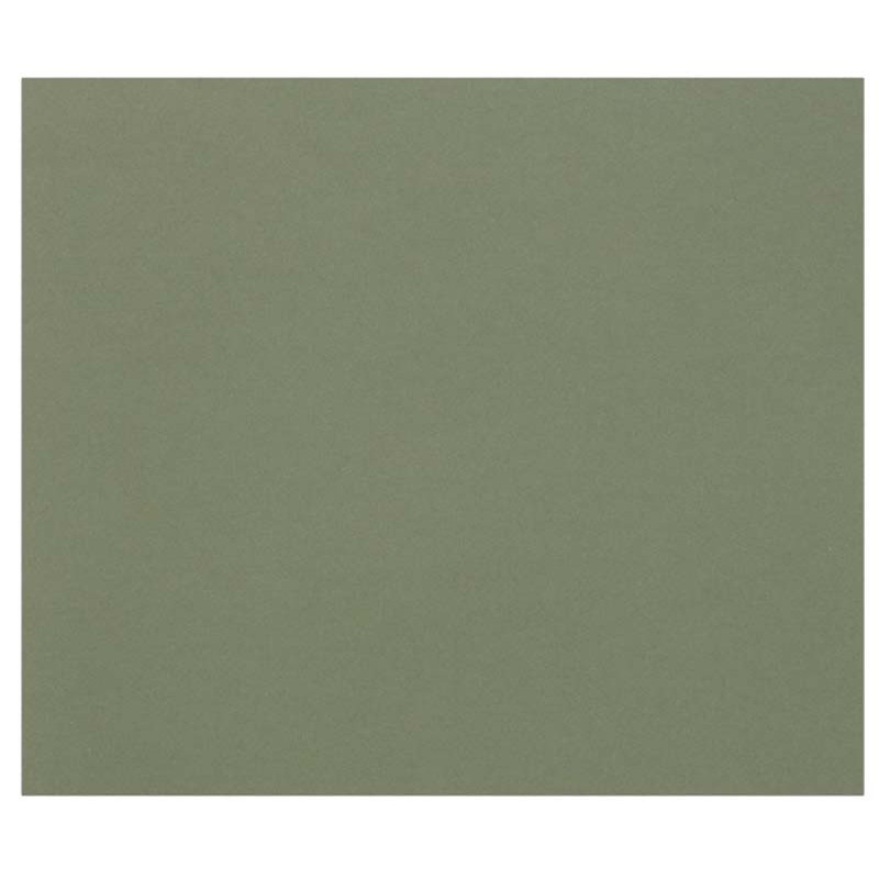 3329689601863 - 1F PAPIER DESSIN VERT OCEAN 50X65CM 160G