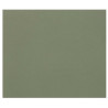 3329689601863 - 1F PAPIER DESSIN VERT OCEAN 50X65CM 160G