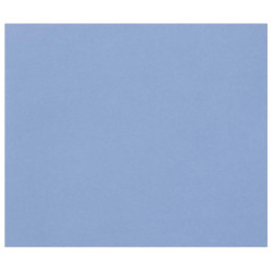 3329689601887 - 1F PAPIER DESSIN BLEU ROI 50X65CM 160G