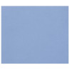 3329689601887 - 1F PAPIER DESSIN BLEU ROI 50X65CM 160G