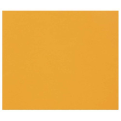 3329689601726 - 1F PAPIER DESSIN ORANGE VIF 50X65CM 160G