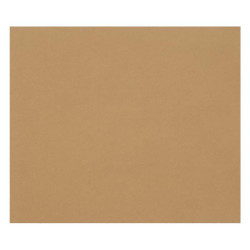 3329689601856 - 1F PAPIER DESSIN HAVANE 50X65CM 160G