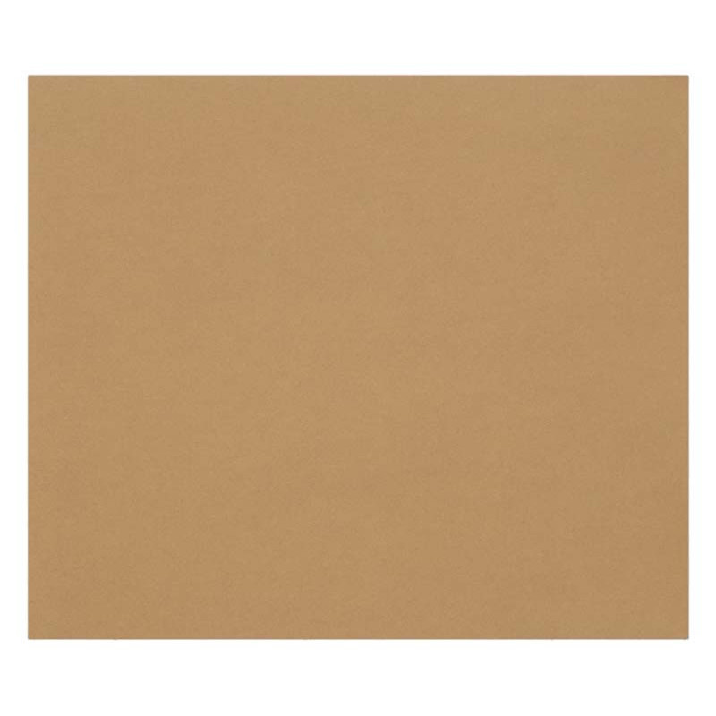 3329689601856 - 1F PAPIER DESSIN HAVANE 50X65CM 160G