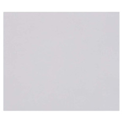 3329689601672 - 1F PAPIER DESSIN GRIS 50X65CM 160G