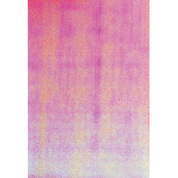 4001868310498 - 10F PAPIER IRIS? 23X33CM ASSORTIES