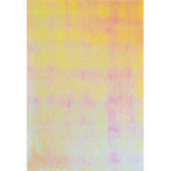 4001868310498 - 10F PAPIER IRIS? 23X33CM ASSORTIES