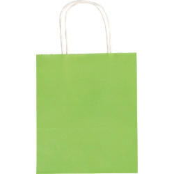 4001868021899 - 20 SACS KRAFT 18X21CM COLORIS ASSORTIS