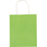 4001868021899 - 20 SACS KRAFT 18X21CM COLORIS ASSORTIS