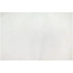 66960152128 - 50F PAPIER DIFFUSEUR 30X46CM