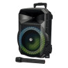 3701123935411 - ENCEINTE MYDJ SONIC 08