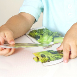8426804502229 - MAXI PUZZLES LES ALIMENTS SAINS