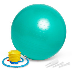 5000230115 - GYMBALL Ø 45 CM