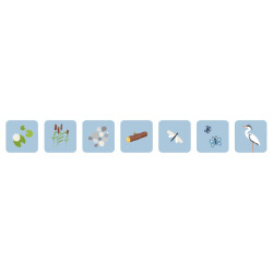 5414869020232 - INTERACTIVE BOT - FLASHCARDS PLATEAU DE CODAGE NIVEAU 1