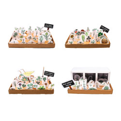 3701385306165 - MON JARDIN 4 SAISONS
