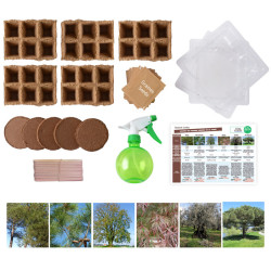 359876142815 - COFFRET MATERIEL ET GRAINES LES ARBRES DE LA FORET