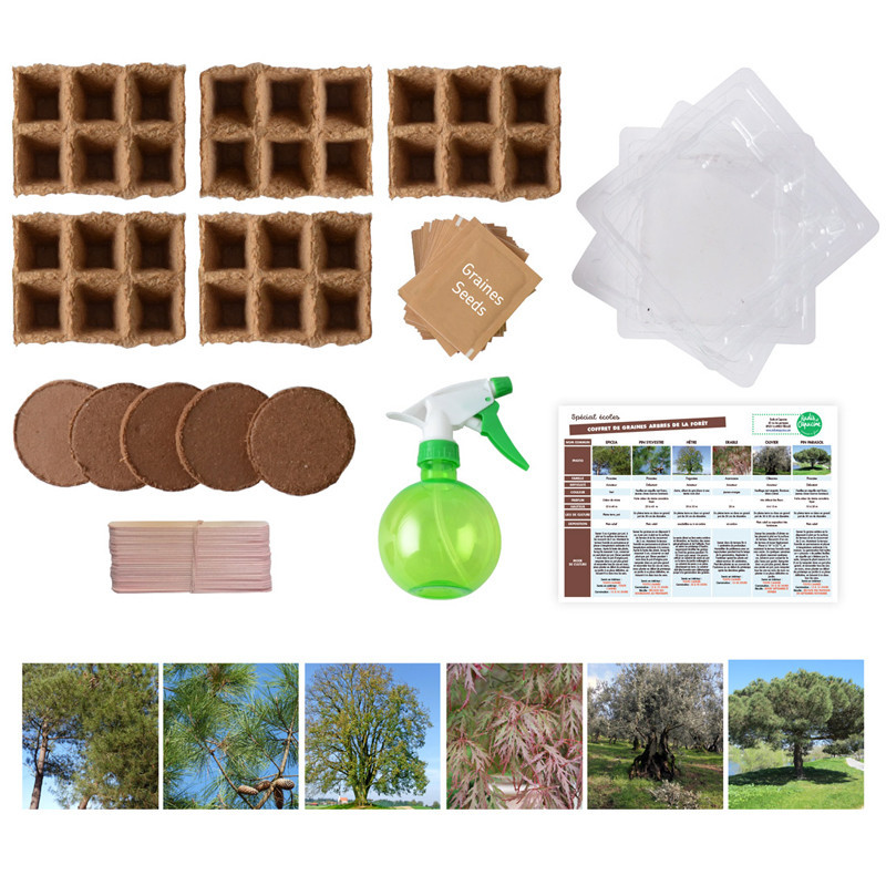 359876142815 - COFFRET MATERIEL ET GRAINES LES ARBRES DE LA FORET