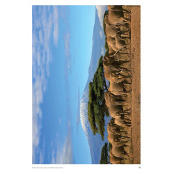 9782849264201 - DICTÉES DU MONDE CYCLE 3