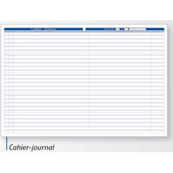 3020129917000 - CAHIER JOURNAL DU PROFESSEUR