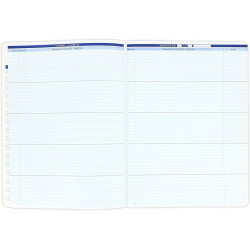 3020129917000 - CAHIER JOURNAL DU PROFESSEUR