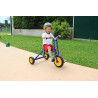 8010077902499 - GRAND TRICYCLE