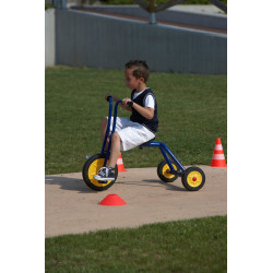 8010077902499 - GRAND TRICYCLE