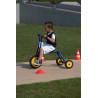 8010077902499 - GRAND TRICYCLE