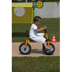 8010077931710 - PILOT 300 BIKE