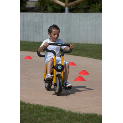 8010077931710 - PILOT 300 BIKE
