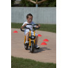 8010077931710 - PILOT 300 BIKE