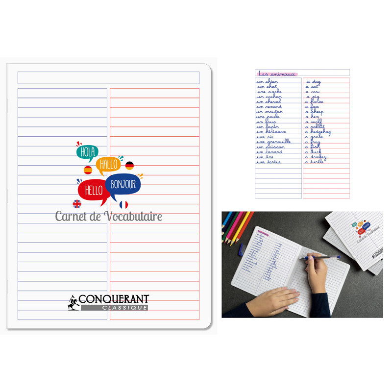 3020120167534 - CAHIER DE VOCABULAIRE PP 17X22 96P