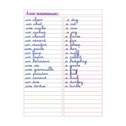 3020120167534 - CAHIER DE VOCABULAIRE PP 17X22 96P