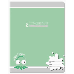 3020120050799 - CAHIER DÉBUTANT 17X22 32P DL2MM 90G