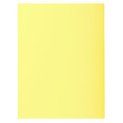 3288583300053 - 10 CHEMISES DOSSIER QUALITÉ SUPÉRIEURE JAUNE