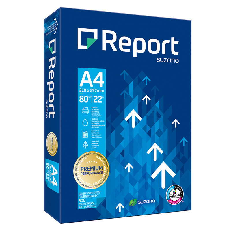 3613630000028 - REPORT A4 RAMETTE 500F 80G CIE CIE 160