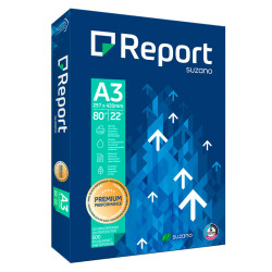 3613630000165 - REPORT A3 RAMETTE 500F 80G CIE CIE 160