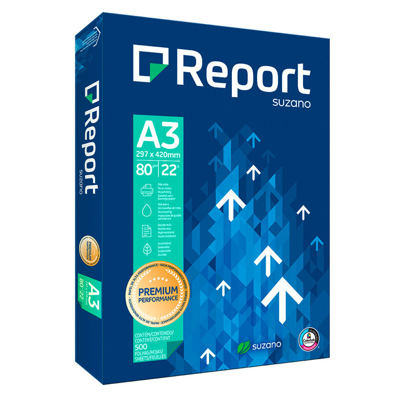 3613630000165 - REPORT A3 RAMETTE 500F 80G CIE CIE 160