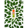 3134721020331 - COLLE CLÉOBIO FLACON 25G EMBOUT MOUSSE