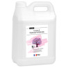 3134725019089 - COLLE TRANSPARENTE 5KG PREMIER PRIX