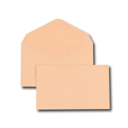 3250650029365 - 500 ENVELOPPES ÉLECTION 90X140 BULLE